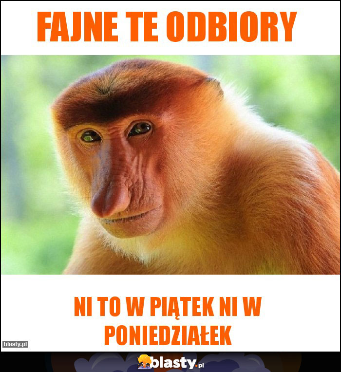 FAJNE TE ODBIORY