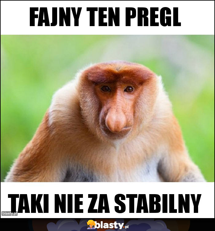 fajny ten pregl