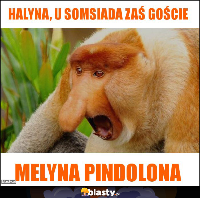 HALYNA, U SOMSIADA ZAŚ GOŚCIE