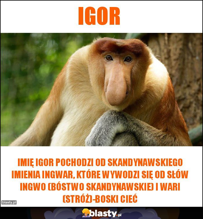 Igor