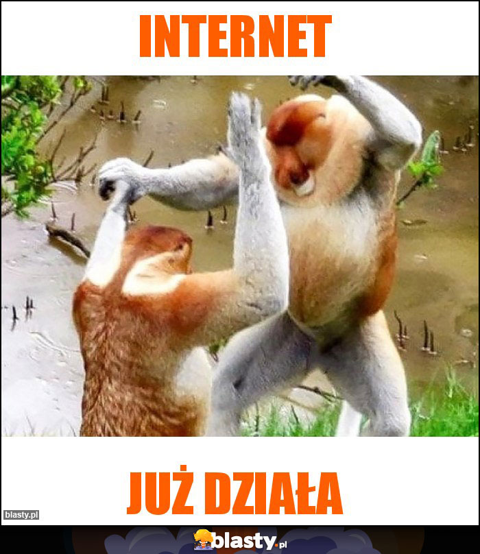 Internet