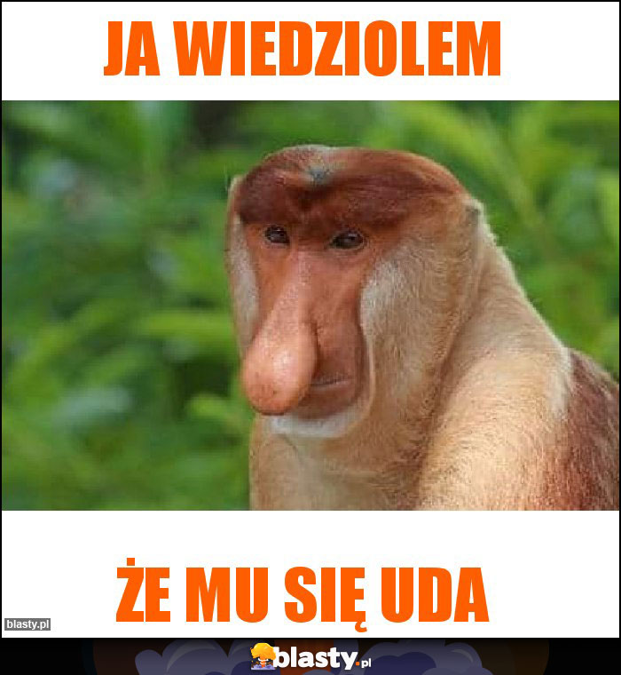 Ja wiedziolem