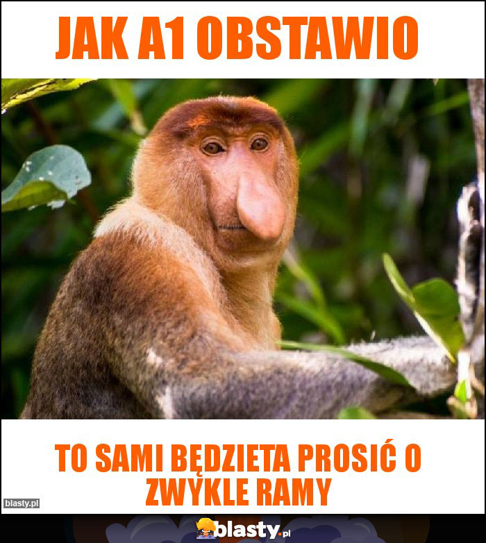 Jak a1 obstawio