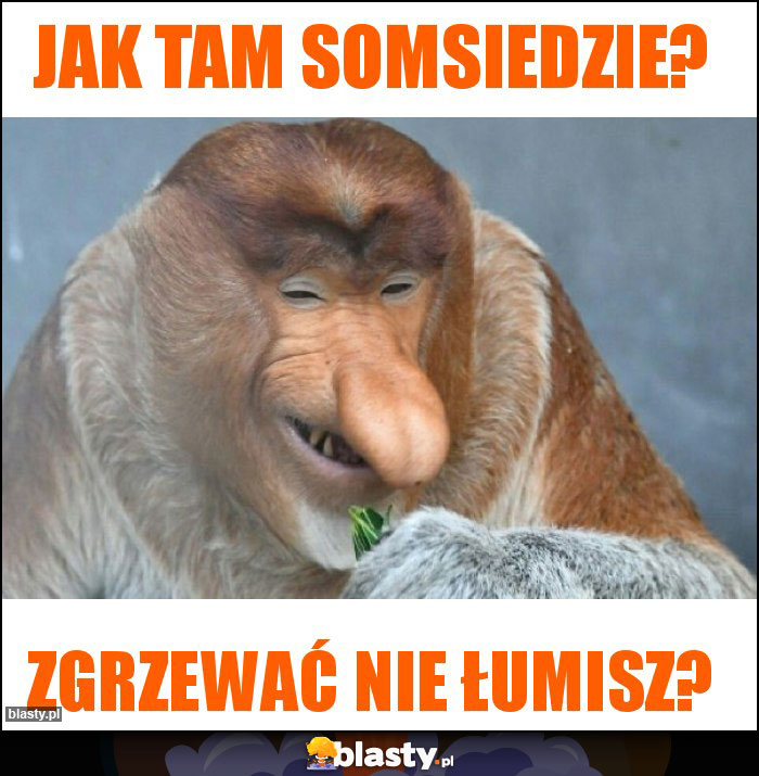 Jak tam somsiedzie?