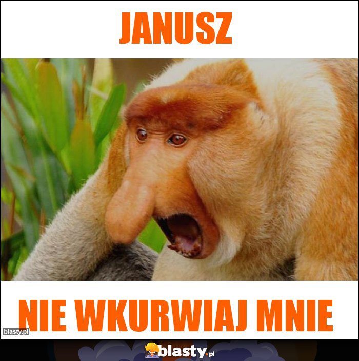 Janusz