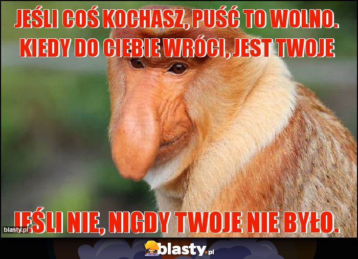 Jeśli coś kochasz, puść to wolno. Kiedy do Ciebie wróci, jest Twoje