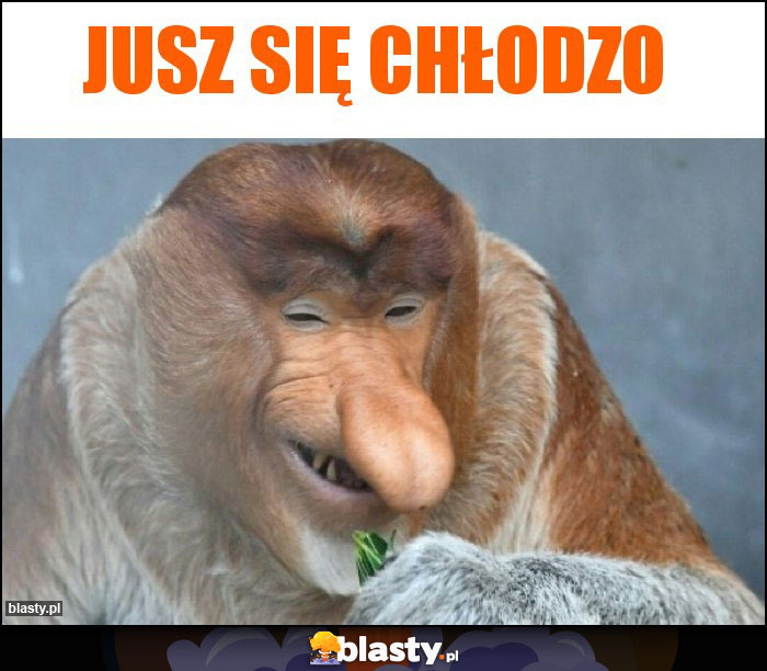 Jusz się chłodzo