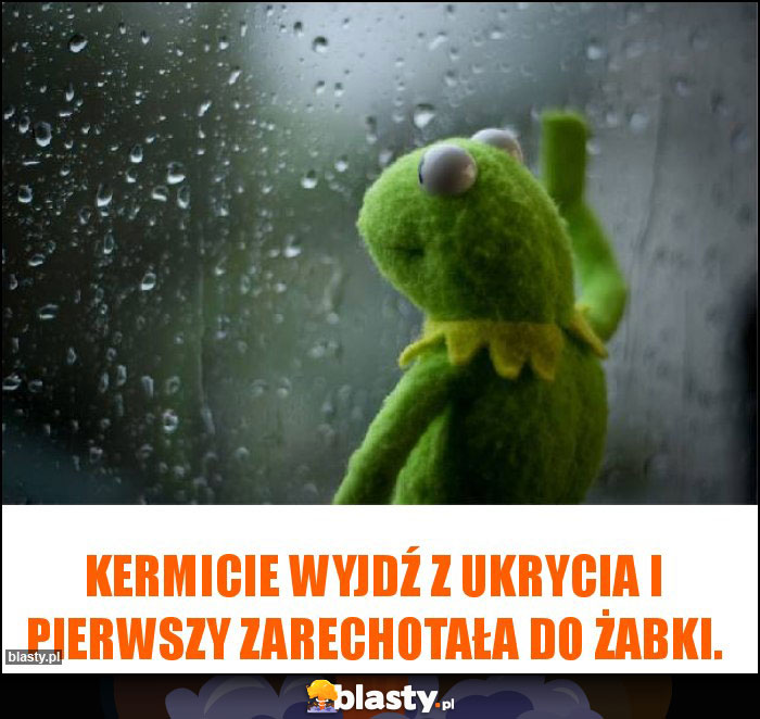 Kermicie wyjdź z ukrycia i pierwszy zarechotała do żabki.