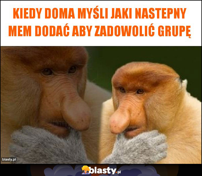 Kiedy Doma myśli jaki nastepny mem dodać aby zadowolić grupę