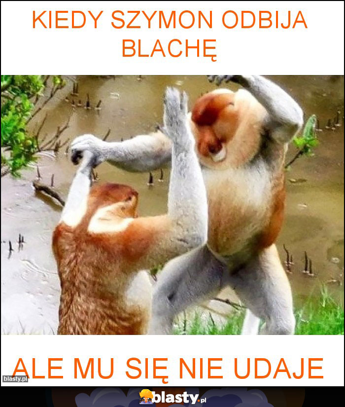 Kiedy Szymon odbija blachę