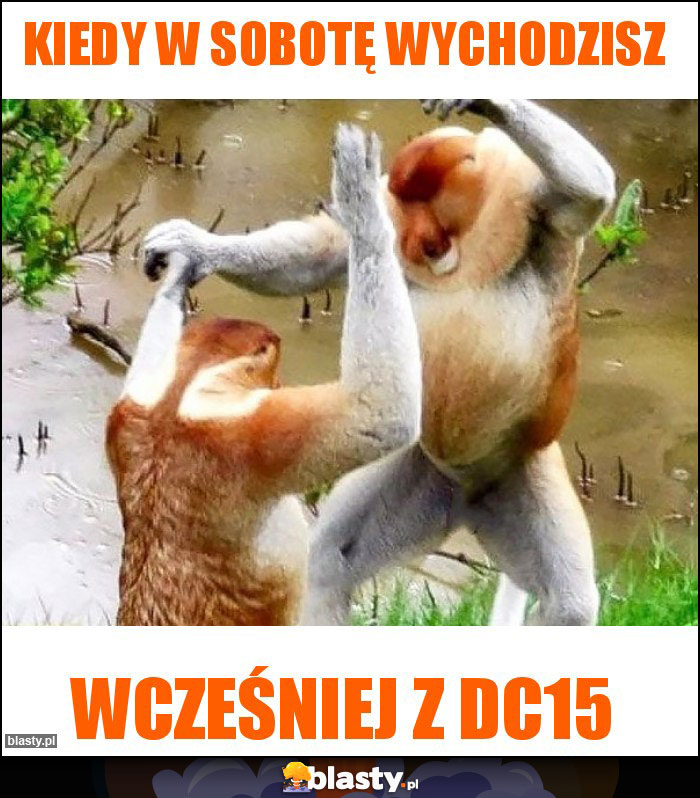 Kiedy w sobotę wychodzisz