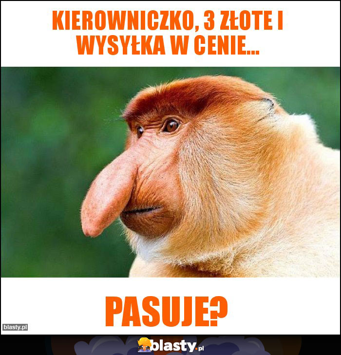 Kierowniczko, 3 złote i wysyłka w cenie...