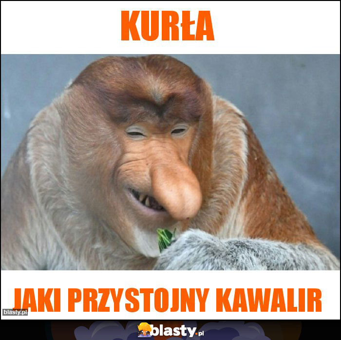 Kurła