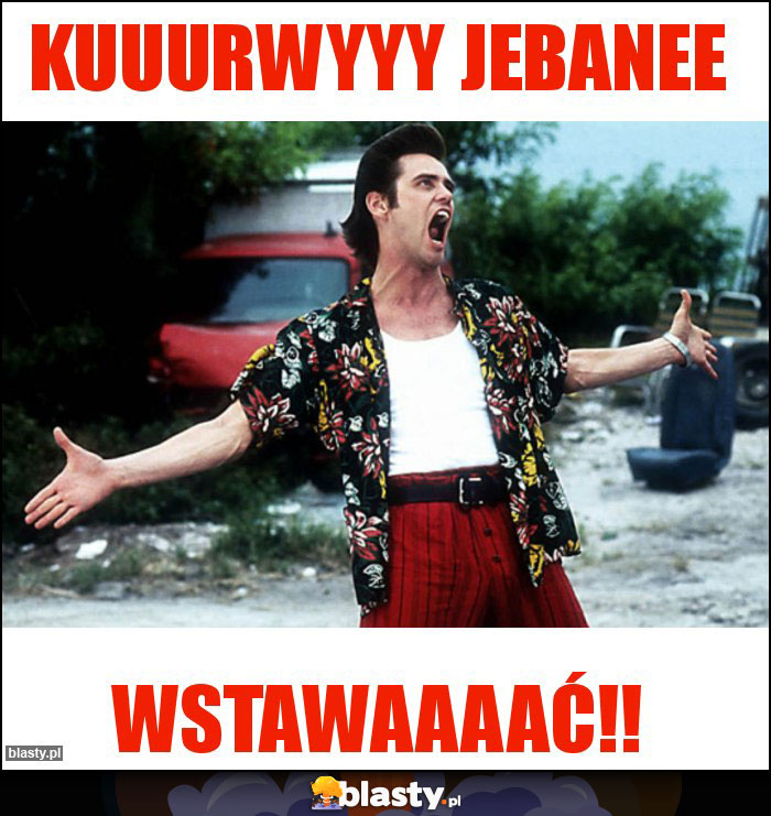 Kuuurwyyy jebanee