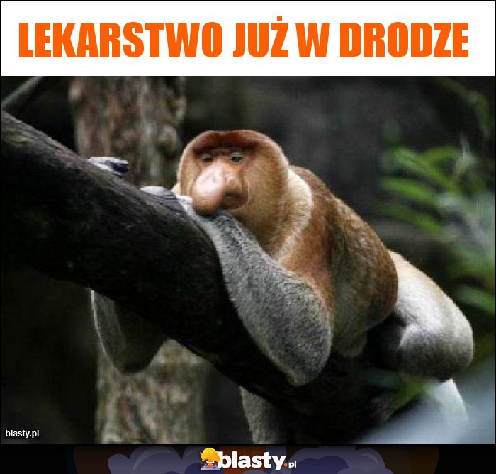 Lekarstwo już w drodze