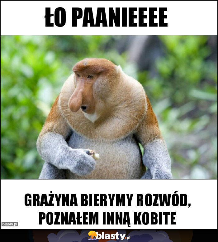 Ło paanieeee