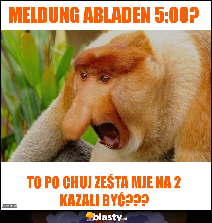 Meldung abladen 5:00?