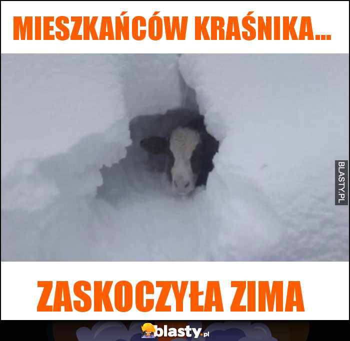 Mieszkańców kraśnika...