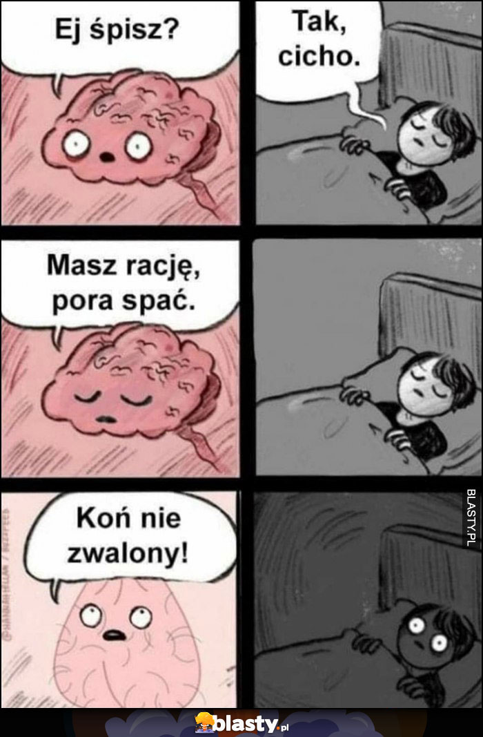 Mózg: ej śpisz? Tak cicho, koń nie zwalony budzi się komiks