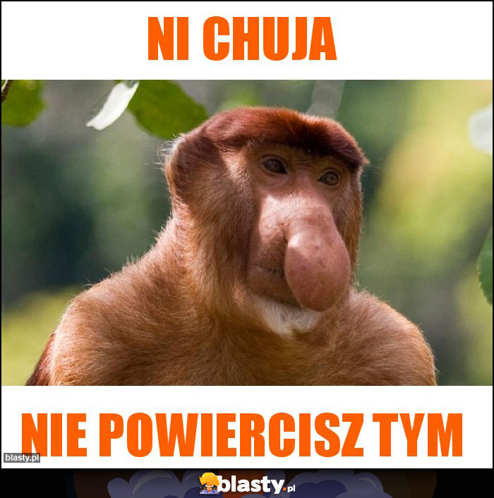 Ni chuja