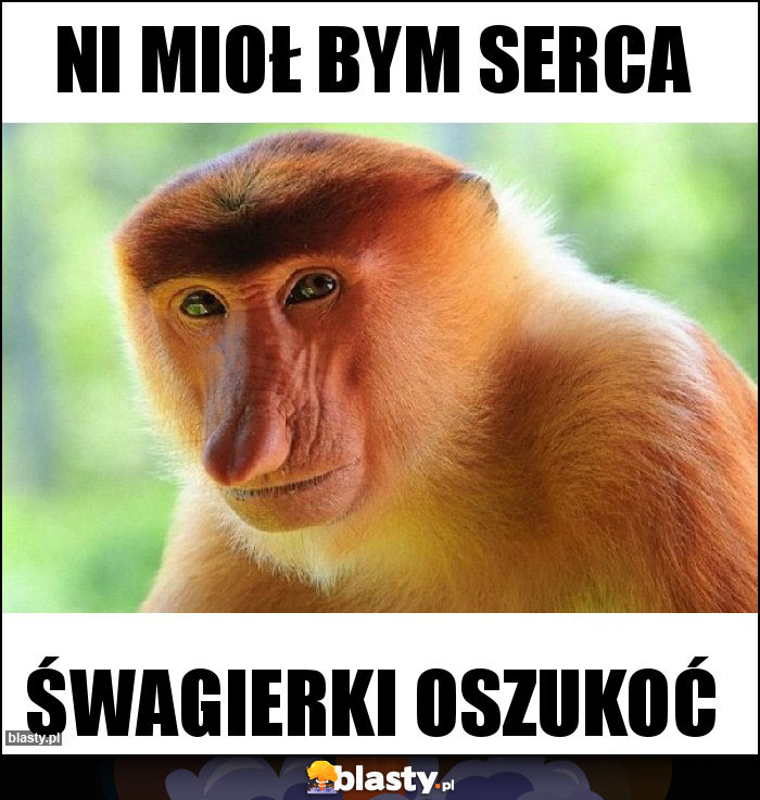 Ni mioł bym serca