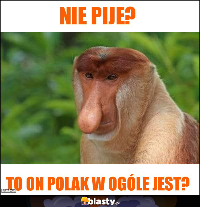 Nie pije?