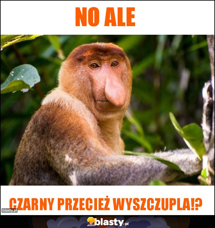 No ale