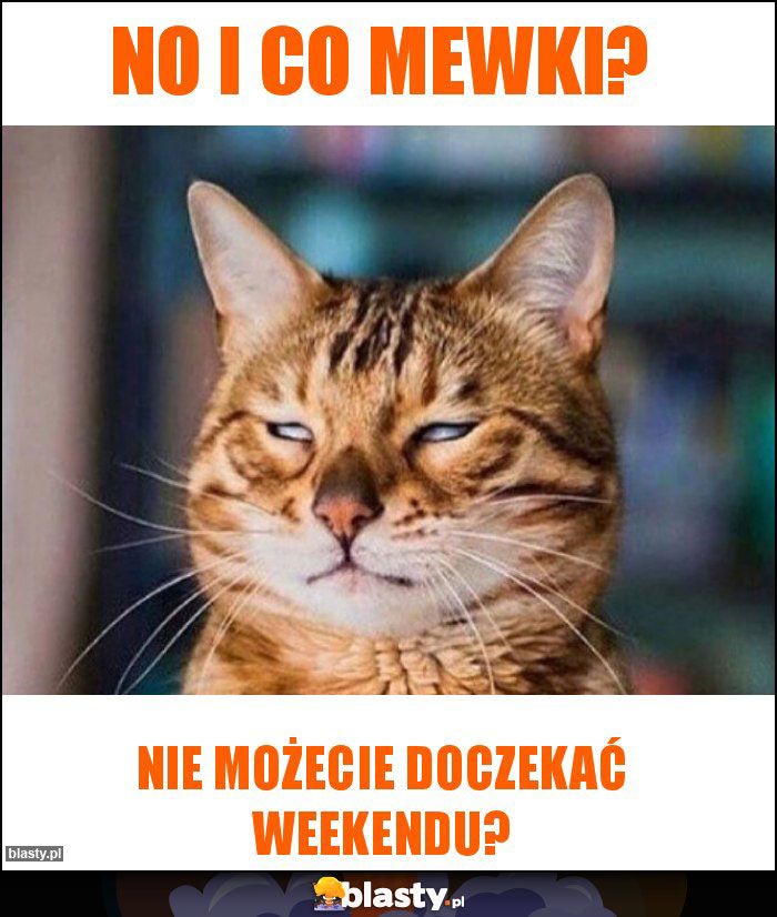 No i co mewki?