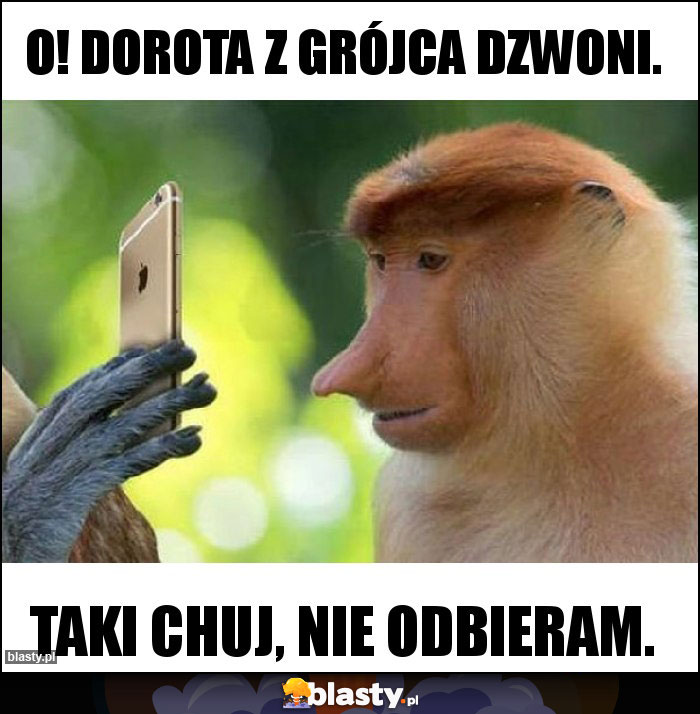 O! Dorota z Grójca dzwoni.