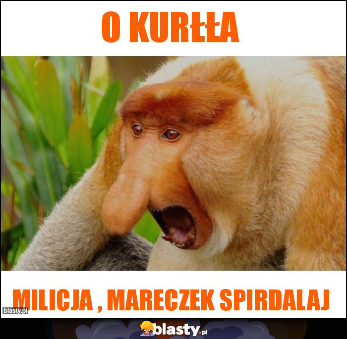 O kurłła