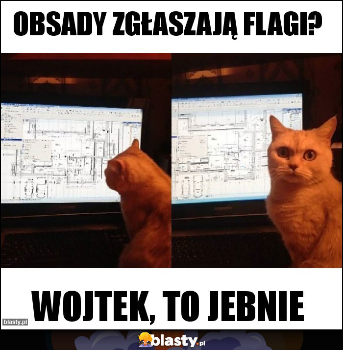 Obsady zgłaszają flagi?