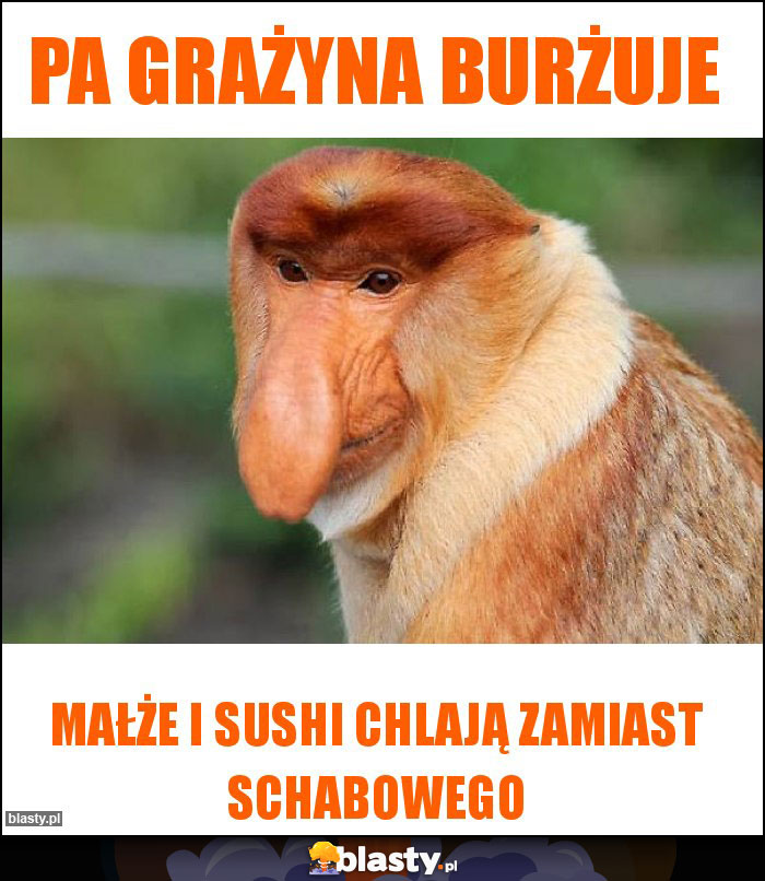 Pa Grażyna burżuje