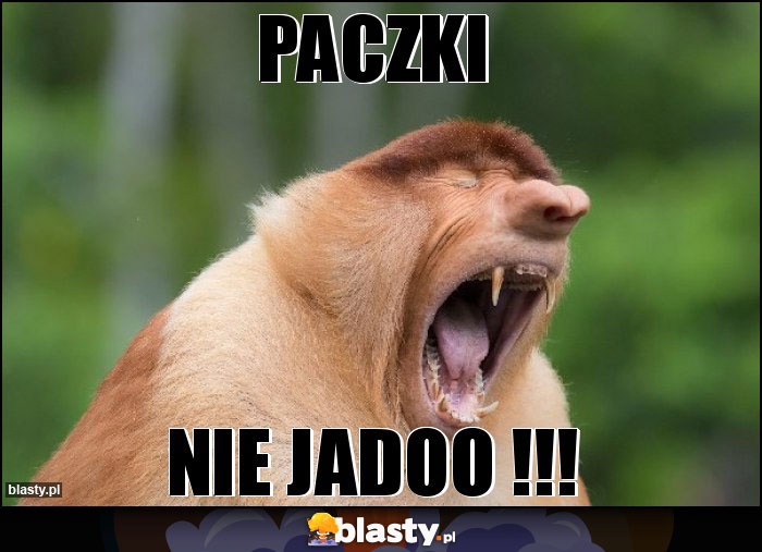 PACZKI