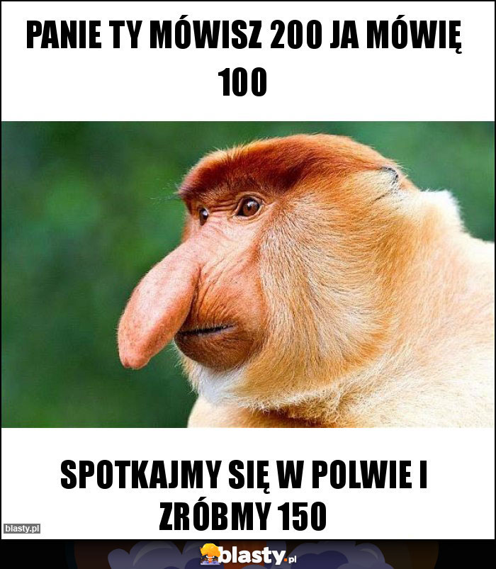 PANIE TY MÓWISZ 200 ja MÓWIĘ 100