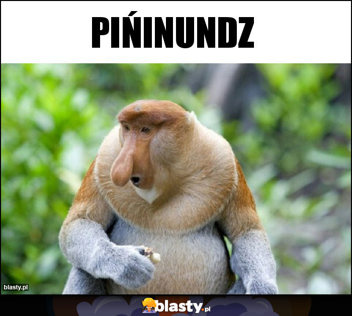 PIŃinundz