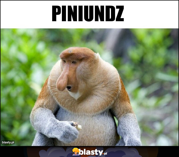 piniundz