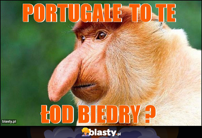 PORTUGALE  TO TE