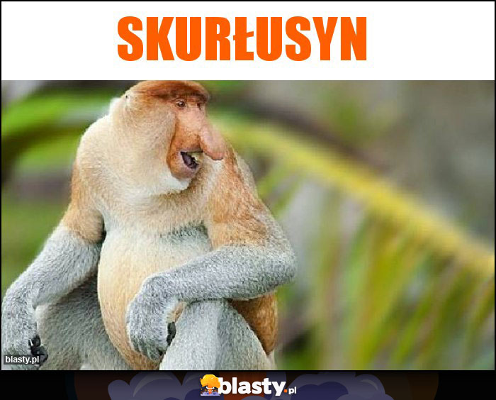 Skurłusyn