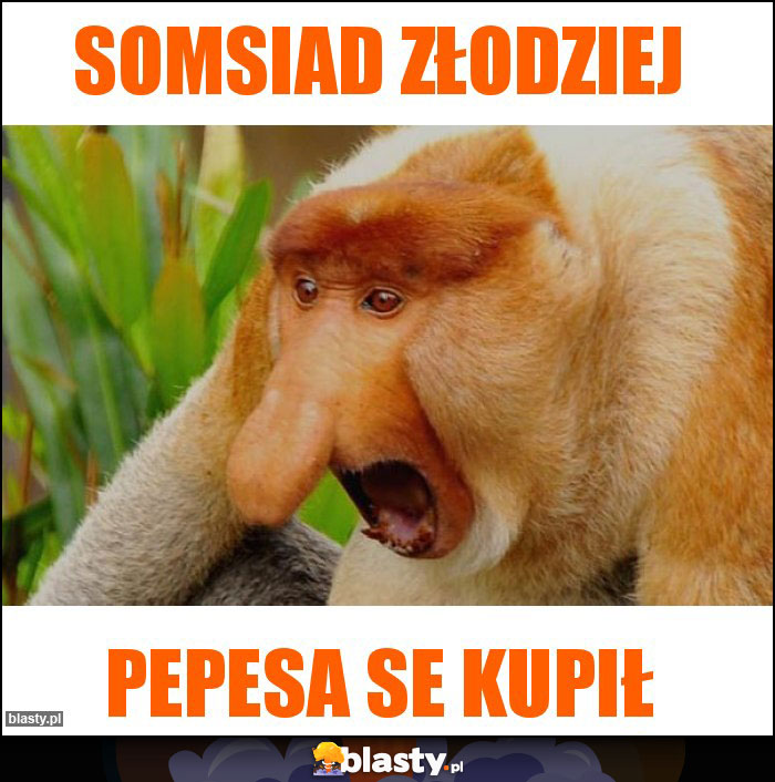 Somsiad złodziej