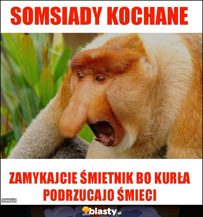 SOMSIADY KOCHANE