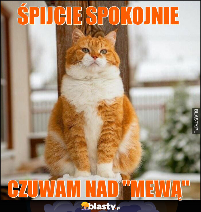 Śpijcie spokojnie