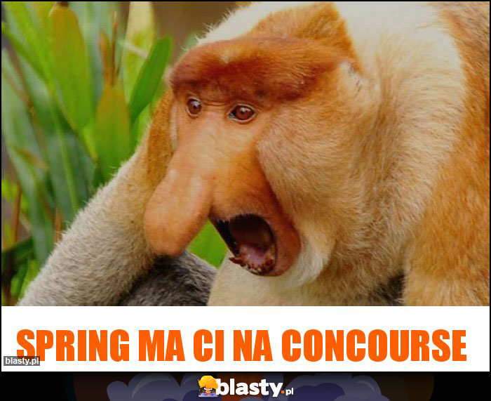 Spring ma CI na concourse