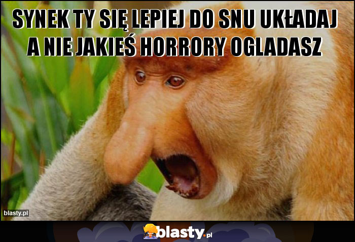 Synek ty się lepiej do snu układaj a Nie jakieś horrory ogladasz