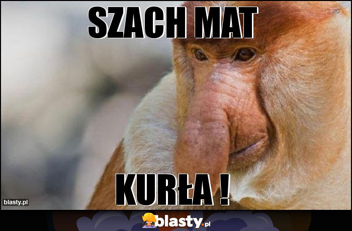 Szach mat