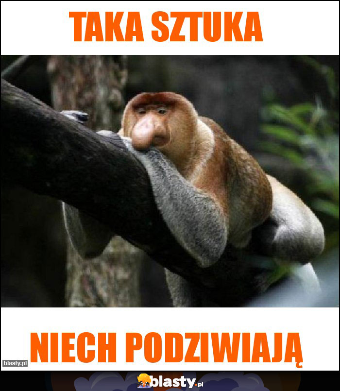 Taka sztuka