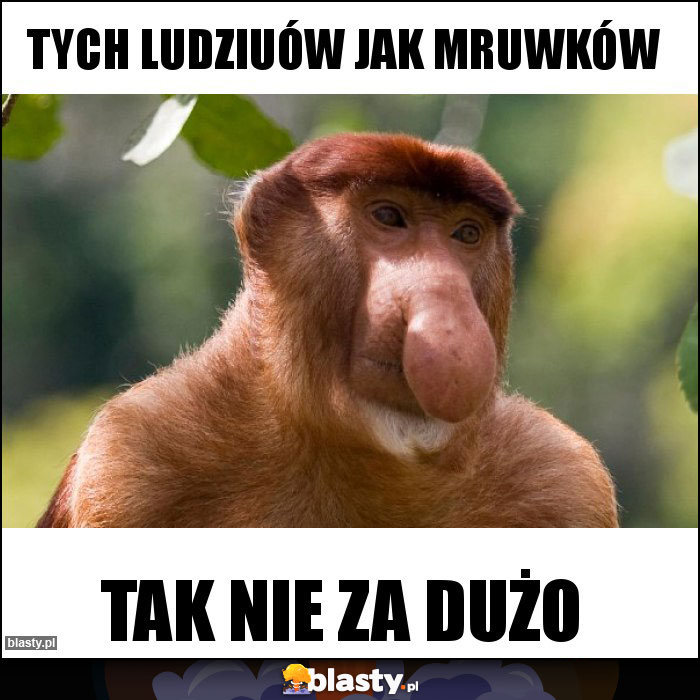 TYCH LUDZIUÓW JAK MRUWKÓW