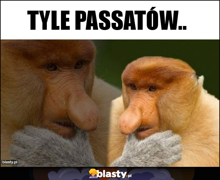 Tyle passatów..