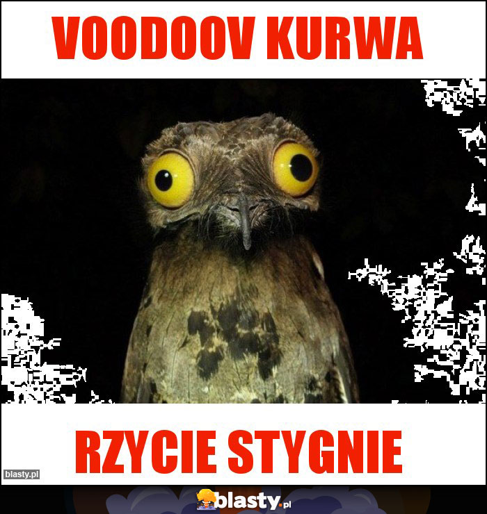 Voodoov kurwa