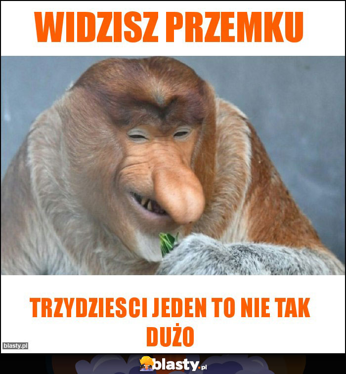 Widzisz przemku