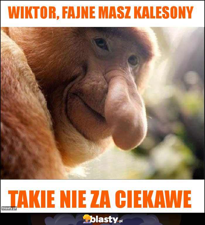 Wiktor, fajne masz kalesony